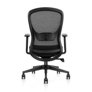 辦公椅豪華帶擱腳板旋轉扶手椅AS-6252B